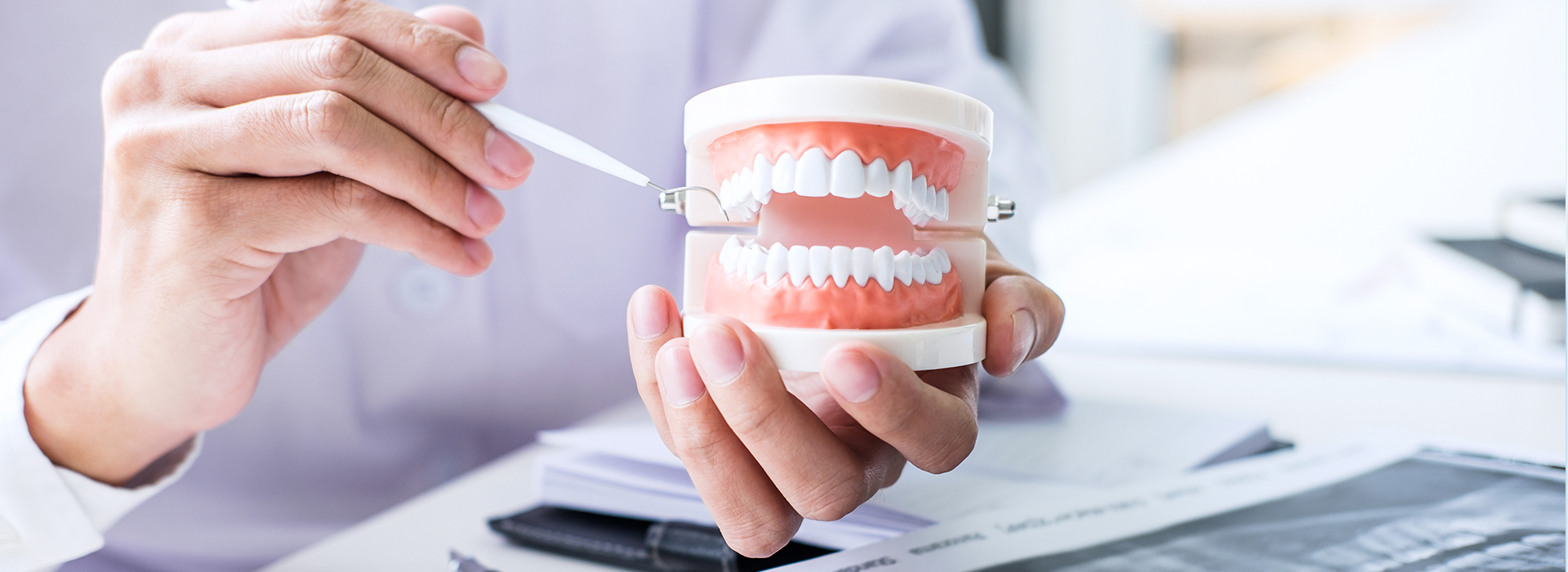 Dental professional holding a tooth model, with blurred background suggesting a clinical setting.