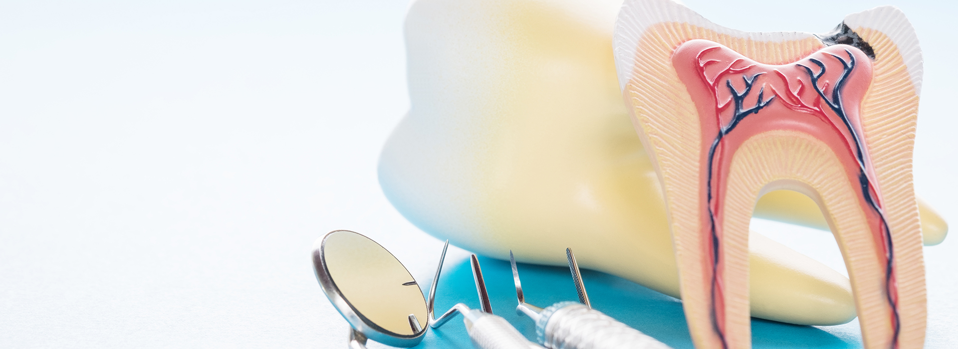 The image displays a collection of dental care items, including toothbrushes, dental floss, and a mouth model with a toothpaste tube, set against a blue background.